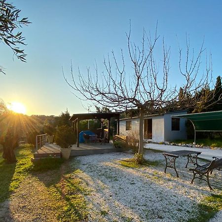 Olive Grove Casa de hóspedes Anavyssos Exterior foto