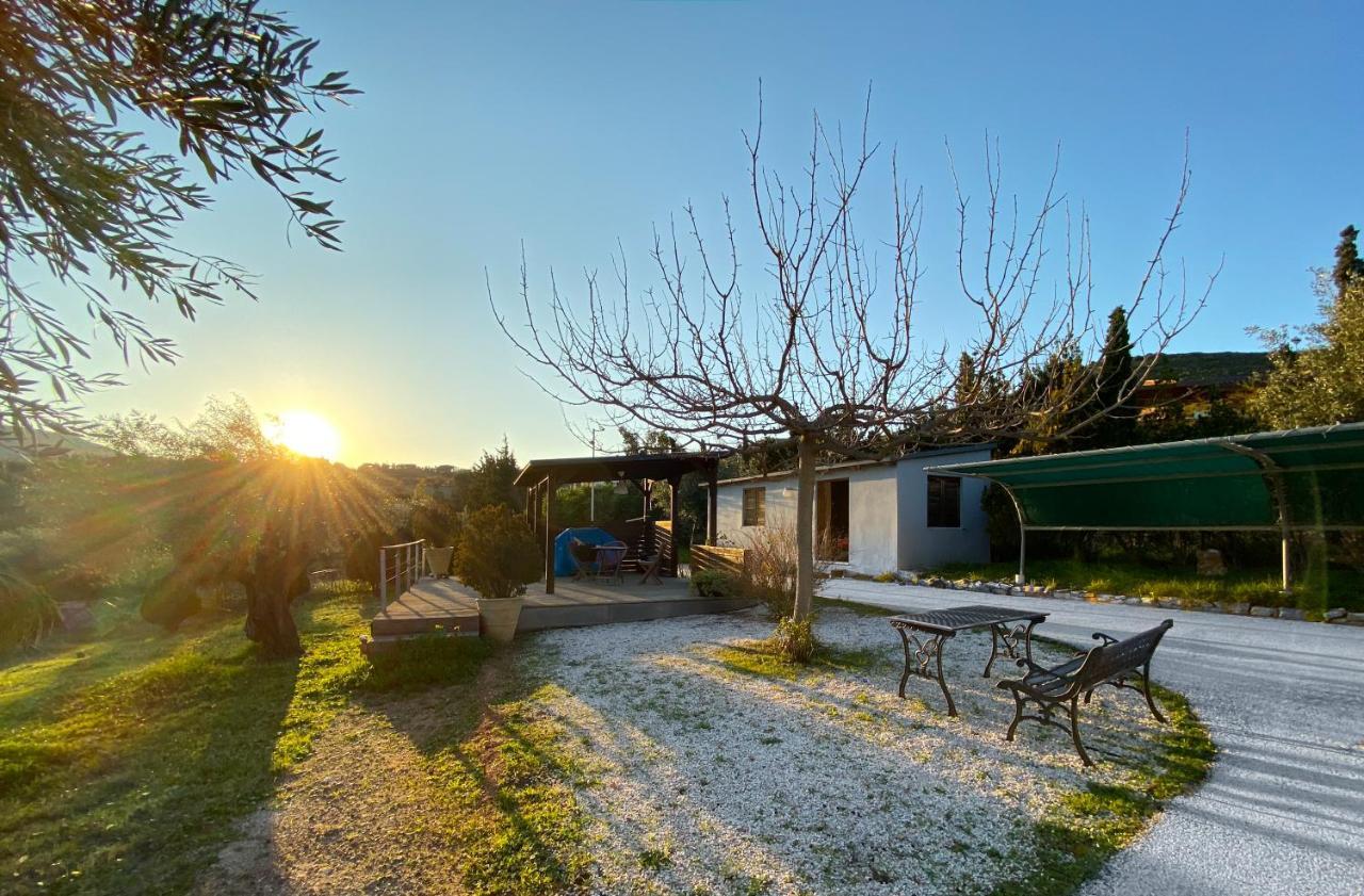 Olive Grove Casa de hóspedes Anavyssos Exterior foto